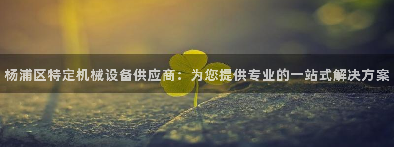 杏盛平台代理注册：杨浦区特定机械设备供应商：为您提供专业的一站式解决方案