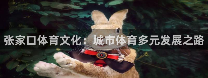 中欧体育官网：张家口体育文化：城市体育多元发展之路