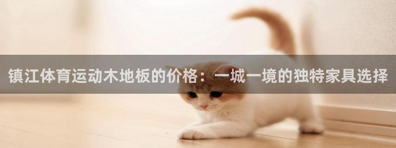 zoty中欧体育平台：镇江体育运动木地板的价格：一城一境的独特家具选择