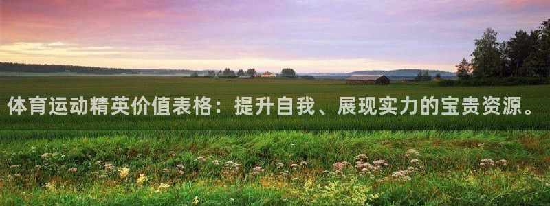 kok新版中欧体育：体育运动精英价值表格：提升自我、展现实力的宝贵资源。