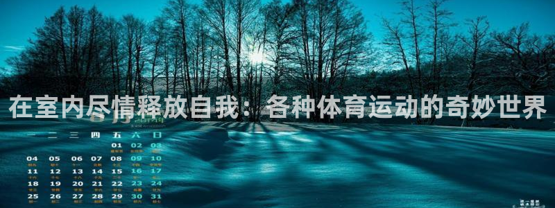中欧体育kok：在室内尽情释放自我：各种体育运动的奇妙世界