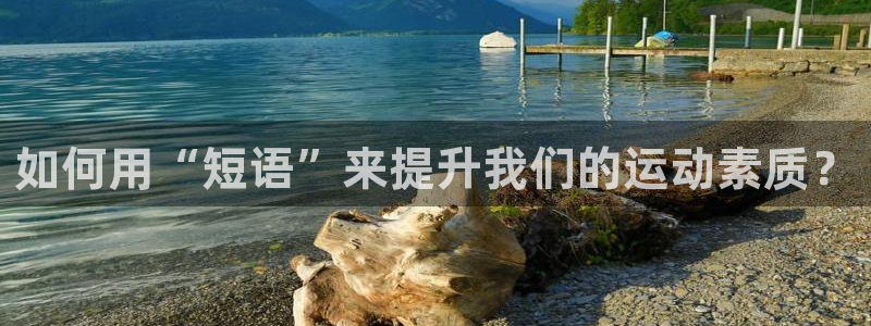 中欧体育官网：如何用“短语”来提升我们的运动素质？