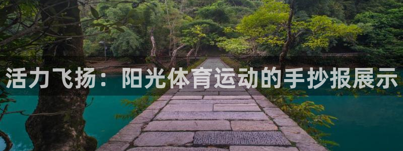 中欧体育zoty下载：活力飞扬：阳光体育运动的手抄报展示