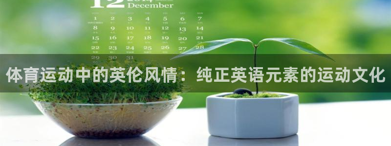 中欧体育zoty下载