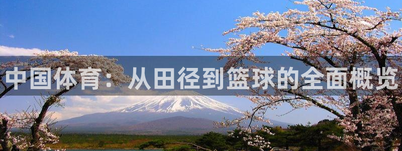 中欧体育集团：中国体育：从田径到篮球的全面概览