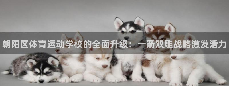 中欧体育ios：朝阳区体育运动学校的全面升级：一箭双雕战略激发活力