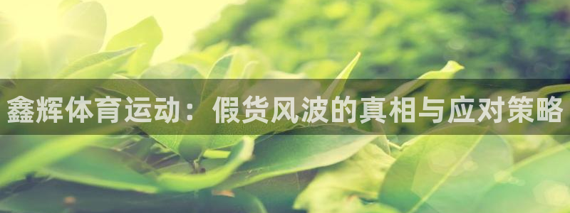 中欧体育集团：鑫辉体育运动：假货风波的真相与应对策略