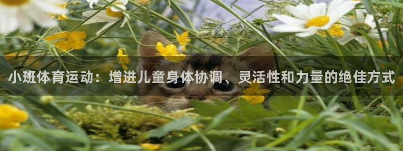 中欧体育app：小班体育运动：增进儿童身体协调、灵活性和力量的绝佳方式