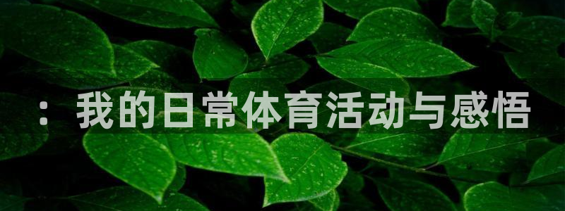 中欧体育zoty下载：：我的日常体育活动与感悟