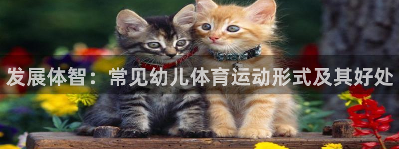 中欧体育登录：发展体智：常见幼儿体育运动形式及其好处