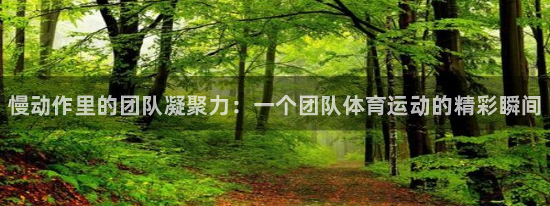 kok新版中欧体育：慢动作里的团队凝聚力：一个团队体育运动的精彩瞬间