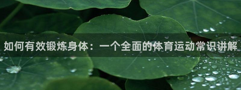 中欧体育kok官网首页：如何有效锻炼身体：一个全面的体育运动常识讲解