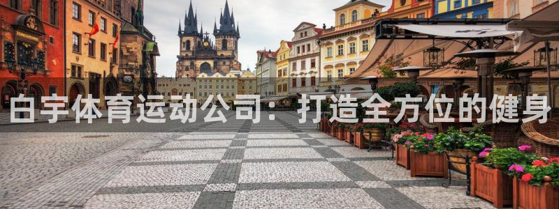 中欧体育kok：白宇体育运动公司：打造全方位的健身
