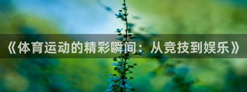 kok新版中欧体育：《体育运动的精彩瞬间：从竞技到娱乐》