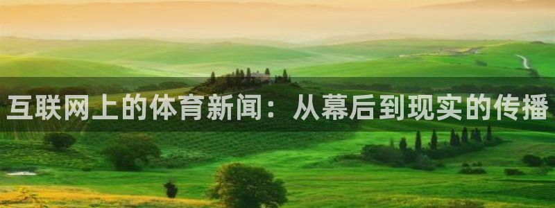 中欧体育网站：互联网上的体育新闻：从幕后到现实的传播