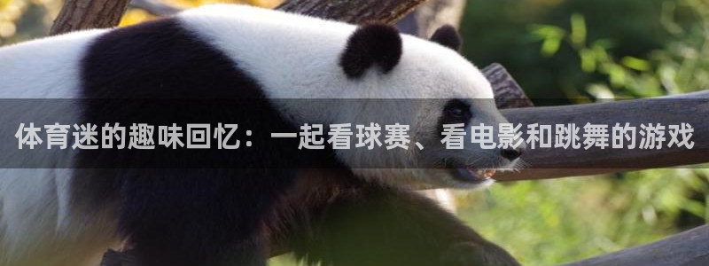 中欧体育集团