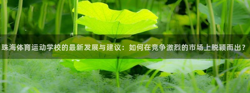 中欧体育(zoty)官网：珠海体育运动学校的最新发展与建议：如何在竞争激烈的市场上脱颖而出？