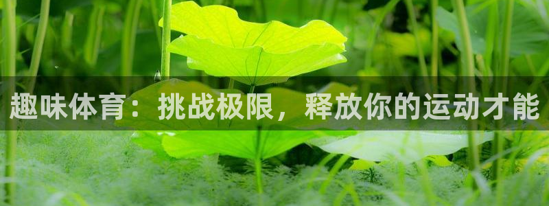 中欧体育网址
