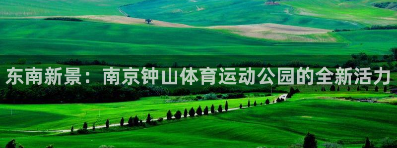 中欧体育kok官网首页