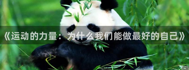 中欧体育网页版：《运动的力量：为什么我们能做最好的自己》