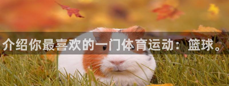 中欧体育全站app：介绍你最喜欢的一门体育运动：篮球。