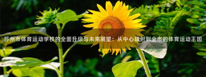 中欧体育官网：苏州市体育运动学校的全面升级与未来展望：从中心辐射到全市的体育运动王国