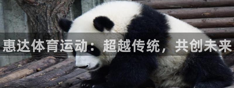 中欧体育网站：惠达体育运动：超越传统，共创未来
