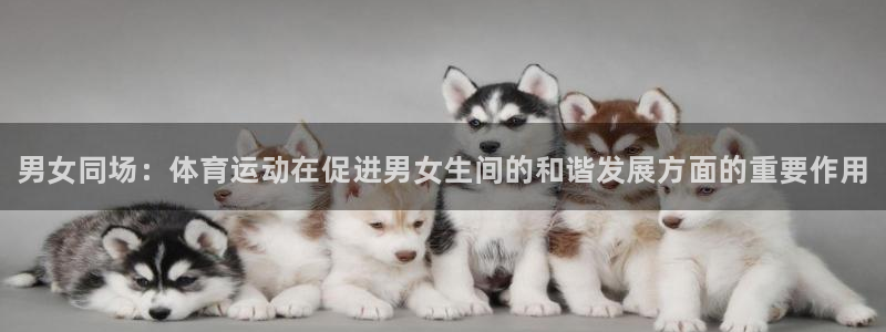 中欧体育客服：男女同场：体育运动在促进男女生间的和谐发展方面的重要作用