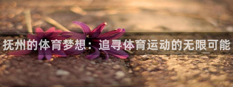 中欧体育在线：抚州的体育梦想：追寻体育运动的无限可能