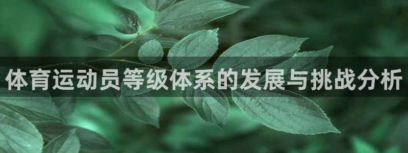 中欧体育李勇鸿：体育运动员等级体系的发展与挑战分析