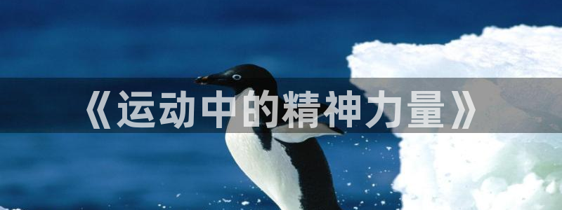 zyty中欧体育平台：《运动中的精神力量》