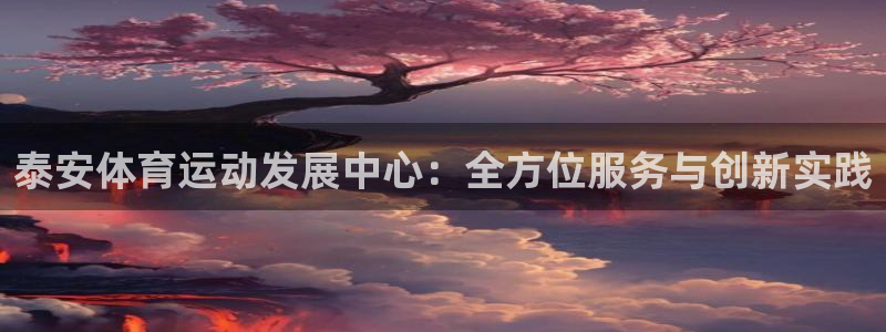 中欧体育官网：泰安体育运动发展中心：全方位服务与创新实践