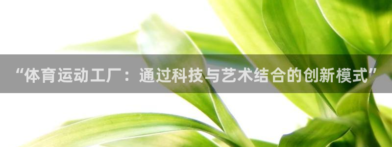 中欧体育在线：“体育运动工厂：通过科技与艺术结合的创新模式”