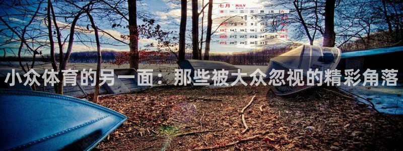 中欧体育集团：小众体育的另一面：那些被大众忽视的精彩角落