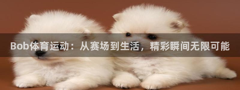 中欧体育平台：Bob体育运动：从赛场到生活，精彩瞬间无限可能
