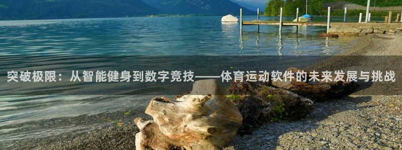 中欧体育登录：突破极限：从智能健身到数字竞技——体育运动软件的未来发展与挑战