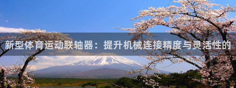 中欧体育zoty下载：新型体育运动联轴器：提升机械连接精度与灵活性的