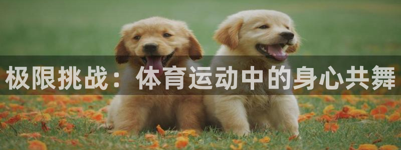 kok新版中欧体育：极限挑战：体育运动中的身心共舞