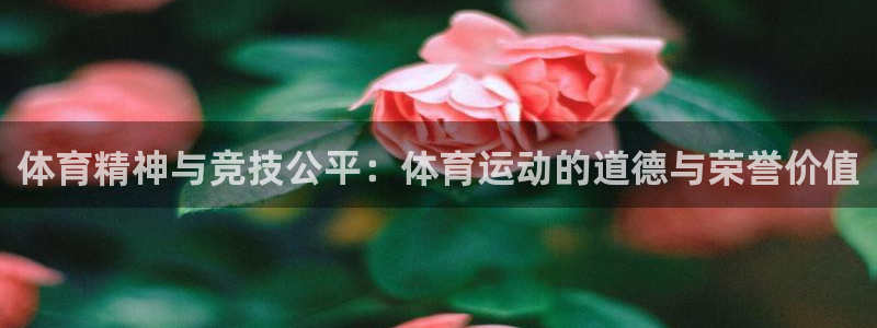 中欧体育官网：体育精神与竞技公平：体育运动的道德与荣誉价值