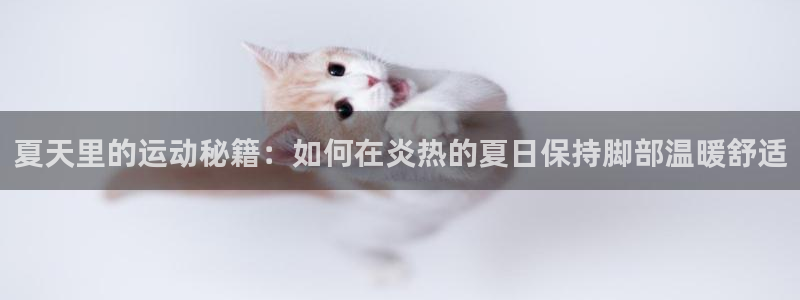 中欧体育网站：夏天里的运动秘籍：如何在炎热的夏日保持脚部温暖舒适