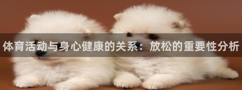 中欧体育集团：体育活动与身心健康的关系：放松的重要性分析