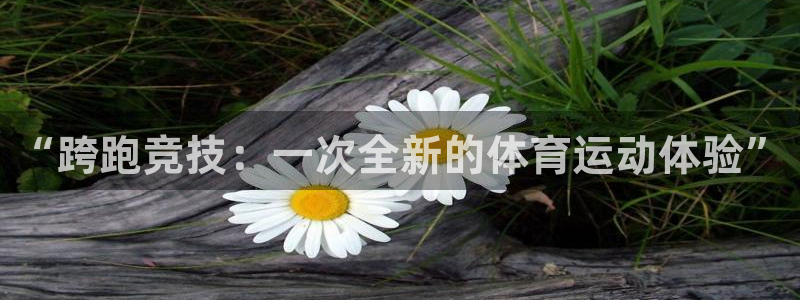 kok中欧体育：“跨跑竞技：一次全新的体育运动体验”