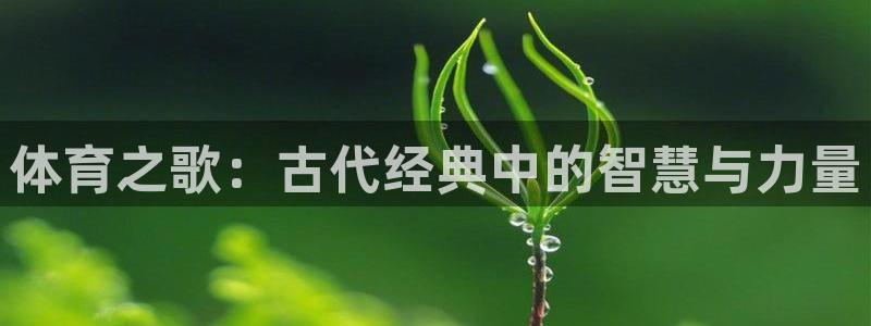 中欧体育网页版：体育之歌：古代经典中的智慧与力量