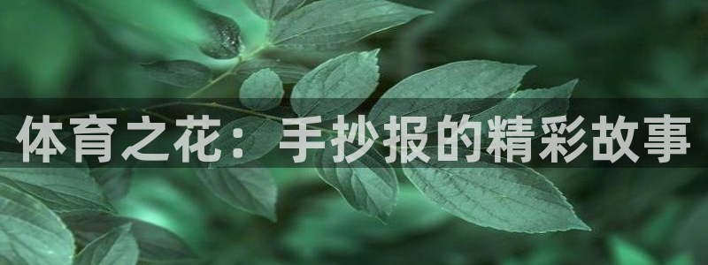 中欧体育平台：体育之花：手抄报的精彩故事